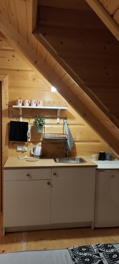 Grazynka Lägenhet Zakopane Exteriör bild
